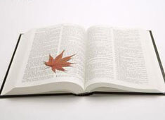 泰达客场击败恒大，取得重要胜利