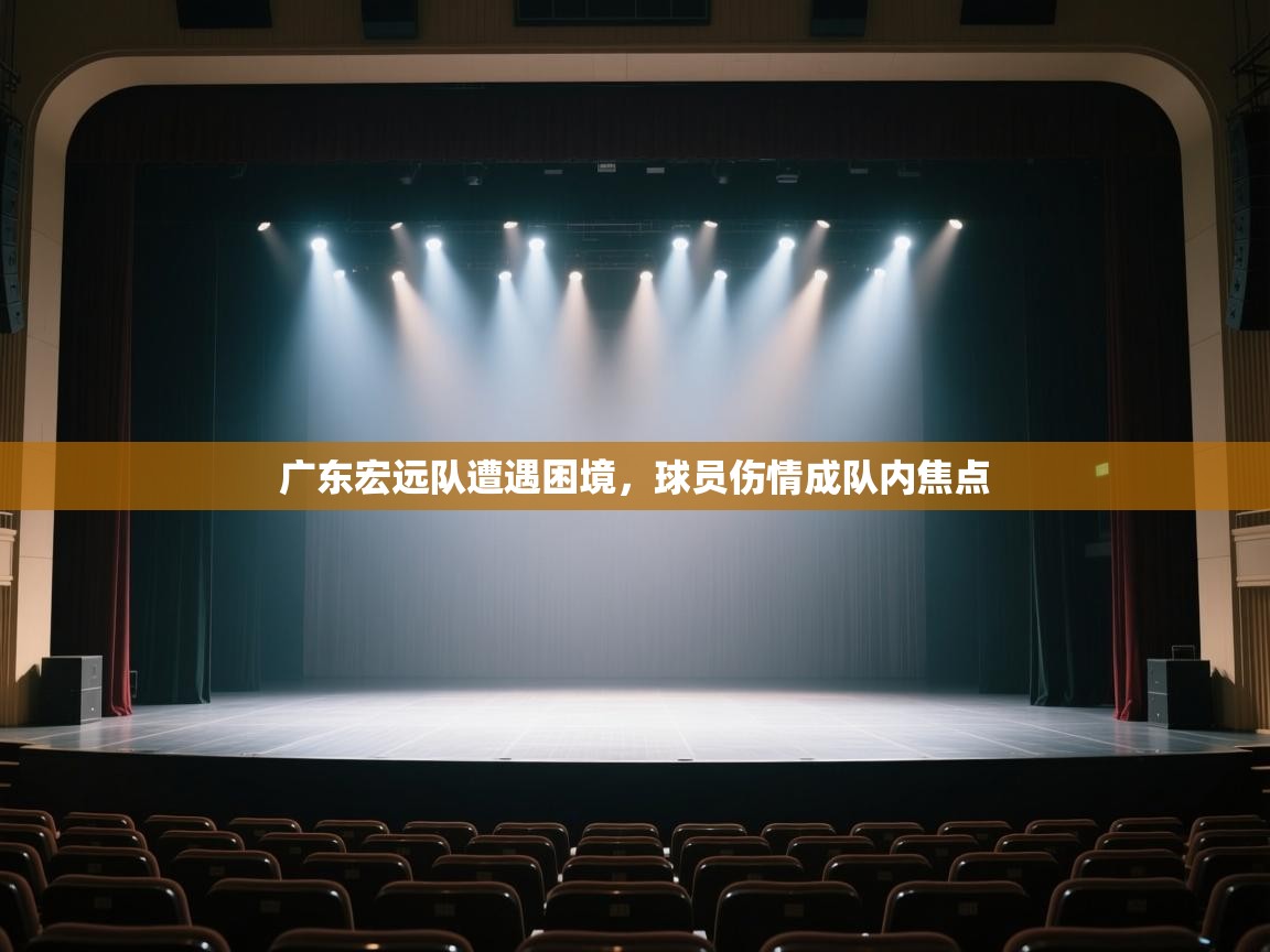 广东宏远队遭遇困境，球员伤情成队内焦点  第2张